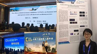 公司吴月红副教授一行参加中国第八届干细胞年会