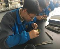 【生科生涯体验课】安吉昌硕高级中学学子来公司参观实验室