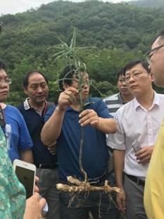 经理梁宗锁前往陕西略阳开展科技指导