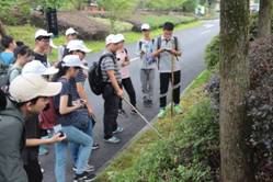 天目山野外实习1