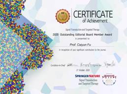 2020 Outstanding Editorial Board Member Award